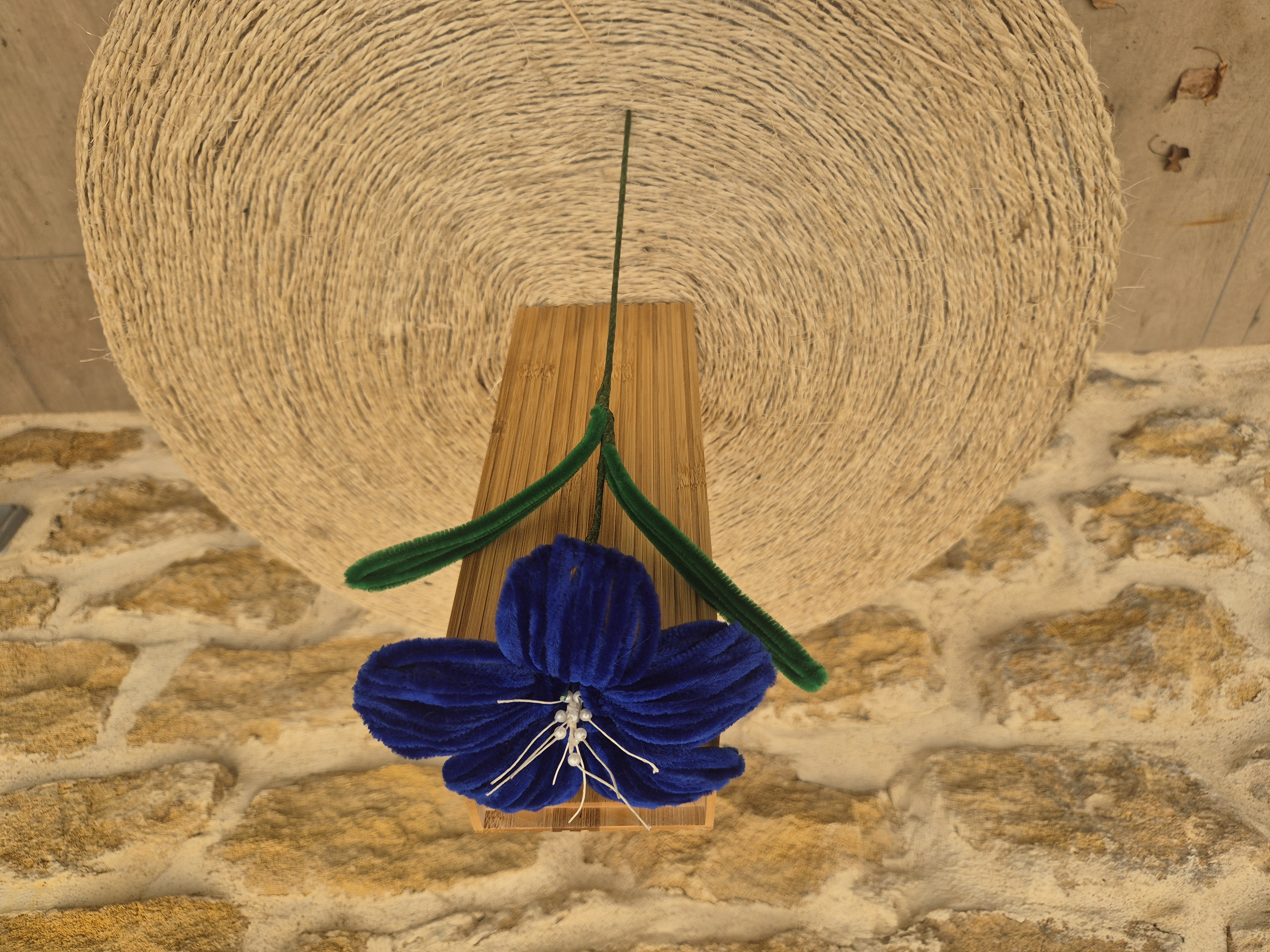 Lys cure pipe bleu foncé pistilles blancs